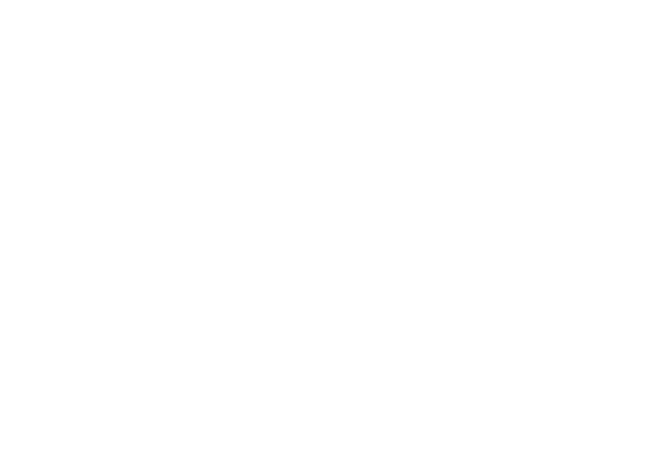Coaching Boys Into Men (CBIM)